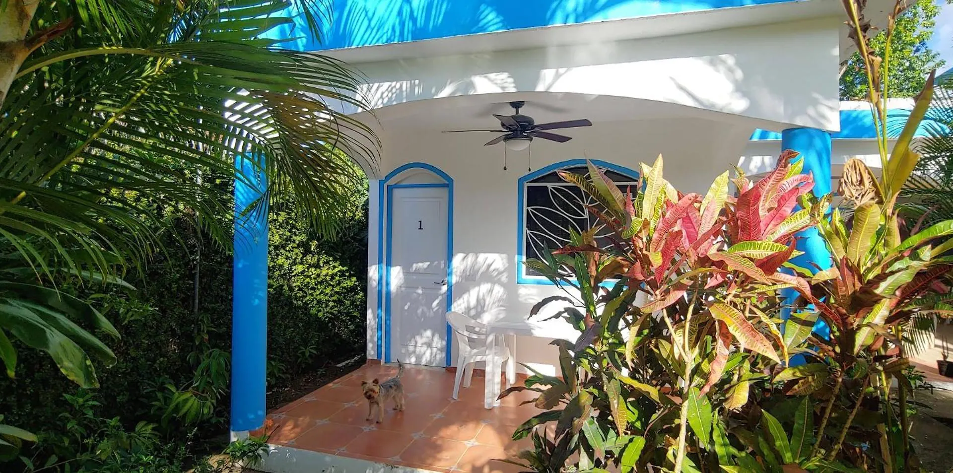 Chambre Bungalow2 Las Terrenas